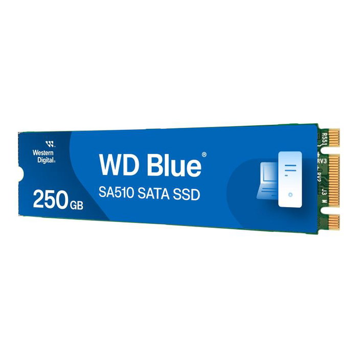 Western Digital WD Blue SA510 WDS250G3B0B 250 Go M.2 2280 SATA