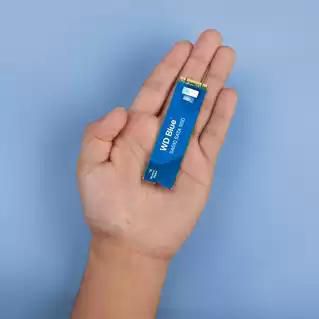 Western Digital WD Blue SA510 SSD 250 Go M.2 2280 SATA - Disque SSD interne pour PC portable et bureau, optimisation créative