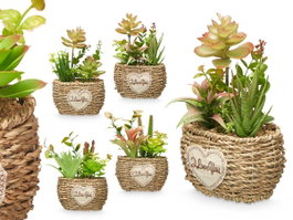 Ibergarden Pot Ovalé Assorti Vert/Bois Plastique Métal 14x22x10 cm (Set de 12)