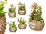 Ibergarden Pot Ovalé Assorti Vert/Bois Plastique Métal 14x22x10 cm (Set de 12)