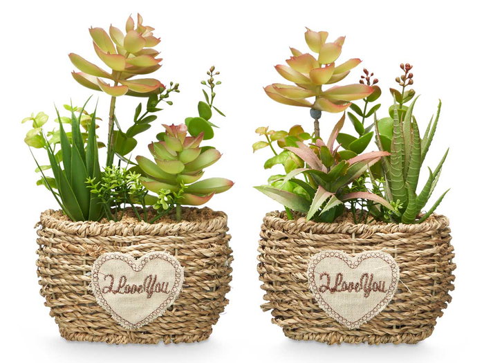 Ibergarden Pot Ovalé Assorti Vert/Bois Plastique Métal 14x22x10 cm (Set de 12)