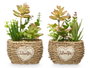 Ibergarden Pot Ovalé Assorti Vert/Bois Plastique Métal 14x22x10 cm (Set de 12)