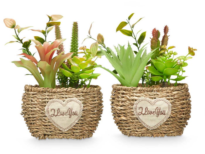 Ibergarden Pot Ovalé Assorti Vert/Bois Plastique Métal 14x22x10 cm (Set de 12)
