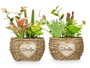 Ibergarden Pot Ovalé Assorti Vert/Bois Plastique Métal 14x22x10 cm (Set de 12)