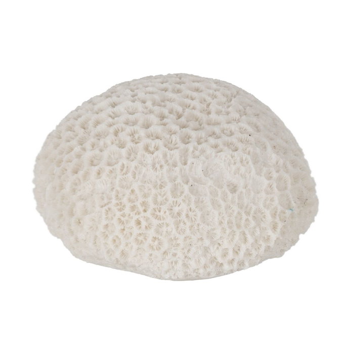 Lampe de bureau Blanc Lampe de bureau Blanc