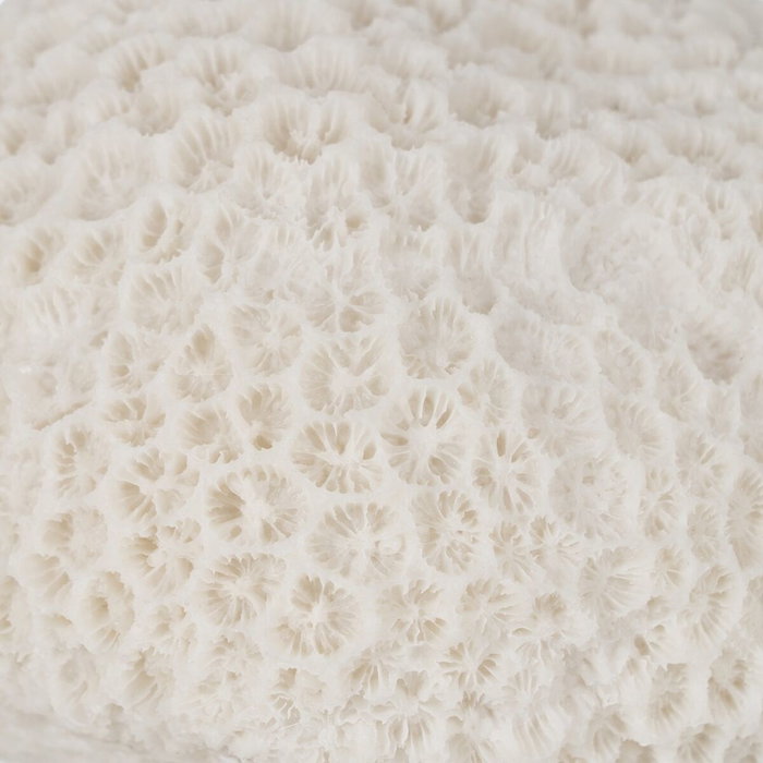 Lampe de bureau Blanc Lampe de bureau Blanc