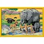 Ravensburger - CreArt Kids - Peinture par Numéros - Tableaux Animaux de la Savane - 7 Tableaux 31x21 cm - Activité Créative Enfant - À partir de 11 ans - FSC