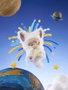 Shenzhen Mabell Animation Development Planet Cat Wishing Star Series Présentoir Boîte-Mystère de 6 Figurines Mini 11 cm