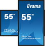 iiyama Écran tactile interactif 55" PCAP avec dalle sans bordures et antireflet, 40 points tactiles, 4K UHD (3840x2160), Android 11, IPS, 24/7, ports HDMI et DisplayPort