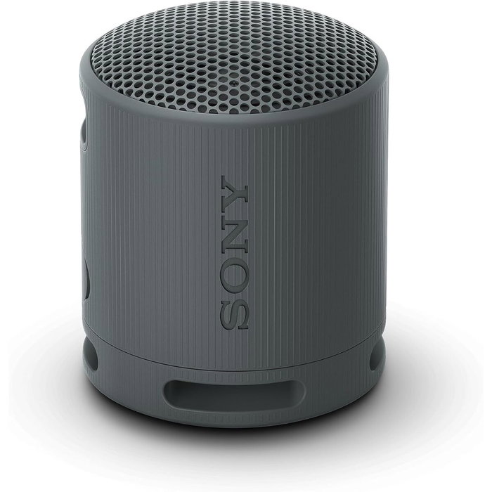 Haut-parleurs bluetooth Sony SRSXB100B Noir