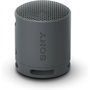Haut-parleurs bluetooth Sony SRSXB100B Noir
