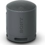 Haut-parleurs bluetooth Sony SRSXB100B Noir