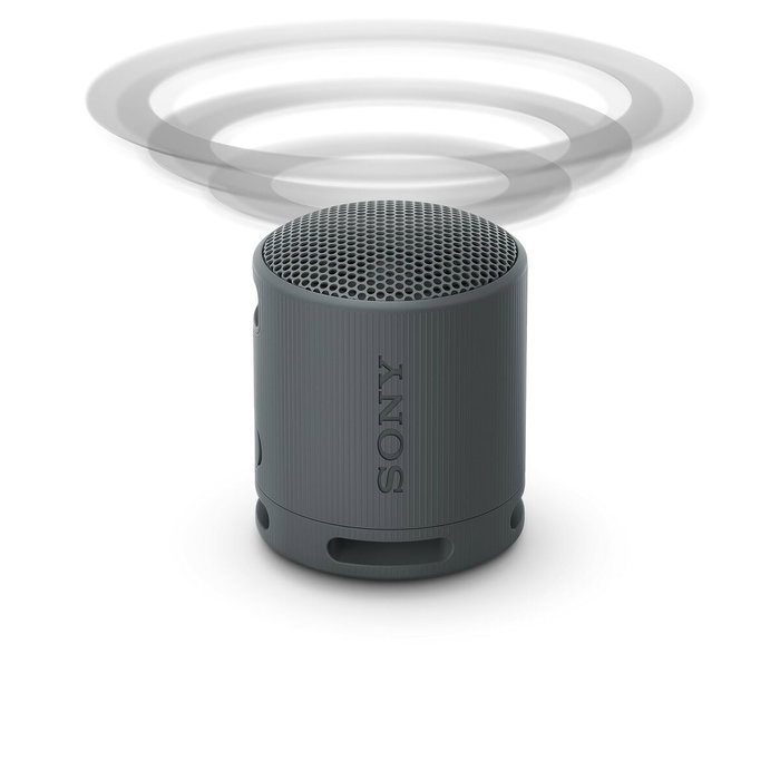 Haut-parleurs bluetooth Sony SRSXB100B Noir