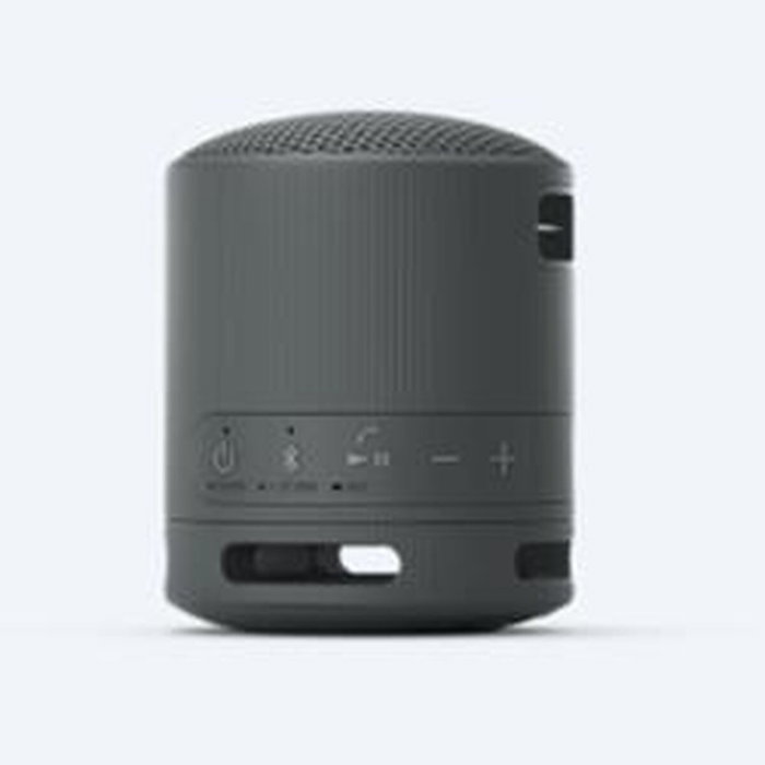Haut-parleurs bluetooth Sony SRSXB100B Noir