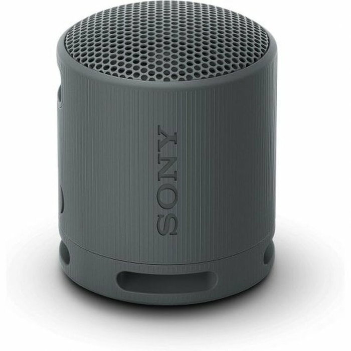 Haut-parleurs bluetooth Sony SRSXB100B Noir