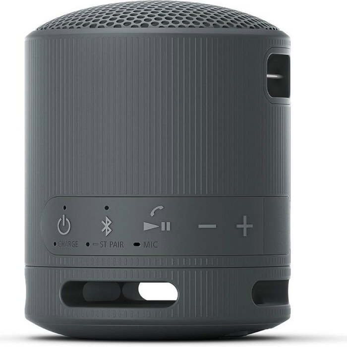 Haut-parleurs bluetooth portables Sony XB100 Noir