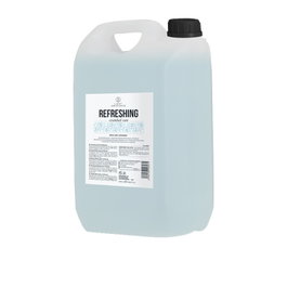 Light Irradiance Shampooing Menthe Bidon 10L