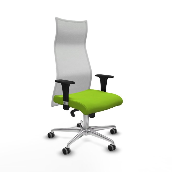 Chaise de Bureau Albacete XL Piqueras y Crespo B1C086G Pistache Chaise de Bureau Albacete XL Piqueras y Crespo B1C086G Pistache