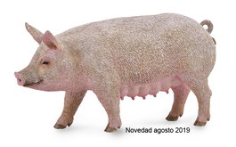Collecta Figurine Animaux de la Ferme - Truie Femelle - Taille M - Réplique Réaliste Peinte à Main - Référence 88863 - Jouet pour Enfants Dès 3 Ans