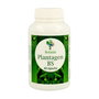 Botania Plantagen BS (Boswellia) 60 capsules