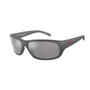 Arnette AN4290-28706G Gris
