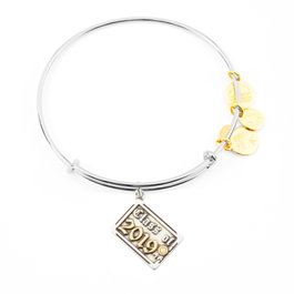 Alex And Ani Bracelet en Métal Gris Ajustable
