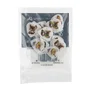 DUNLOP Pack de 36 Médiators Graphic Artist Dirty Donny II Cobra - 1.00 mm