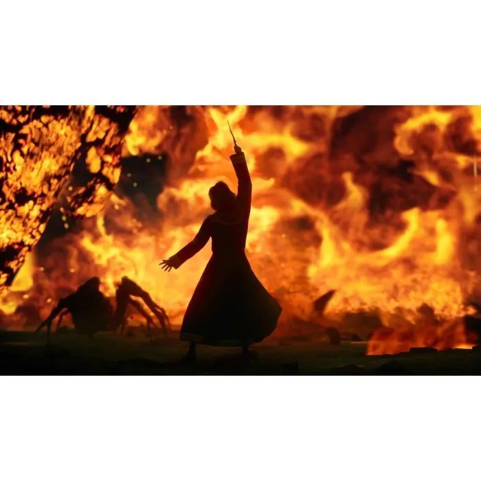 Warner Games Hogwarts Legacy : L'Héritage de Poudlard Jeu PS4 (Action-Aventure, RPG, Monde Ouvert)