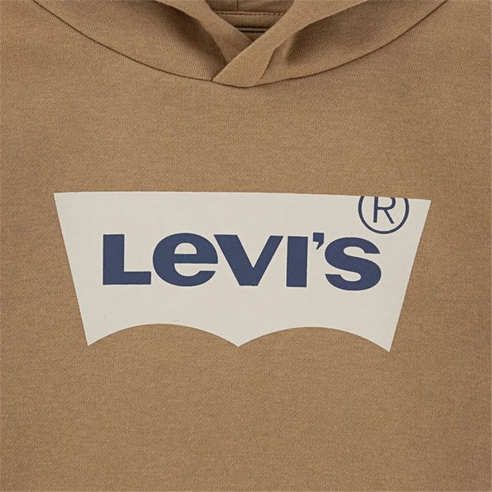 Sweat à capuche enfant Levi's Lvb Batwing Screenprint Hoodie Marron L