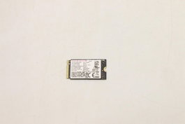 Lenovo M.2 2242 SSD 256GB PCIe 4.0 x4
