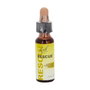 Rescue Bach Rescue gouttes 10 ml