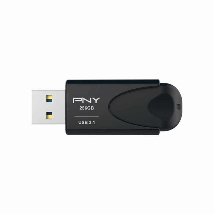 Mémoire RAM PNY Attache 4 Noir 256 GB