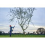 Bosch UniversalChainPole 18 - Élagueuse sur perche sans fil avec batterie 18V-2,5Ah