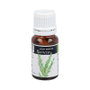 PLANTIS Essence de Romarin