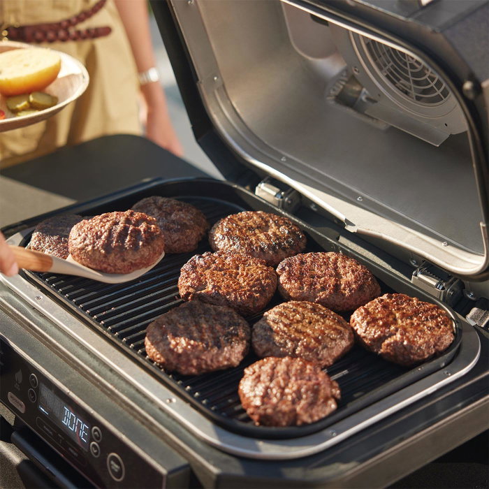 Ninja Woodfire Pro XL OG850EU - Barbecue électrique et fumoir Bleu-gris et inox