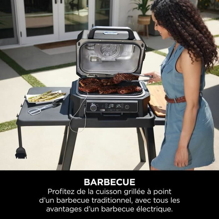 Ninja Woodfire Pro XL OG850EU Bleu-gris et inox Ninja Woodfire Pro XL OG850EU Bleu-gris et inox