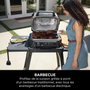 Ninja Woodfire Pro XL OG850EU Bleu-gris et inox
