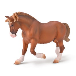 COLLECTA Semental de tir Bretón Castané - XL