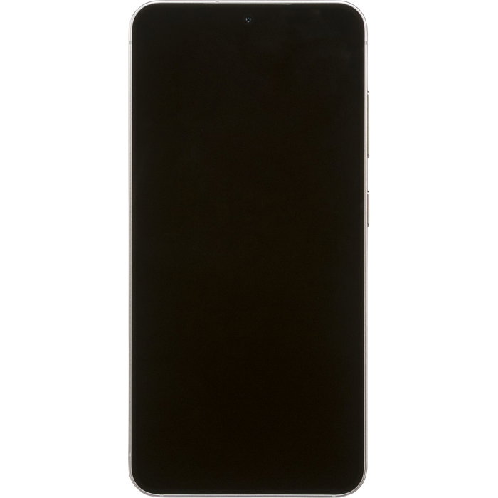 Samsung Galaxy S25 Enterprise Edition Silver Shadow 128GB