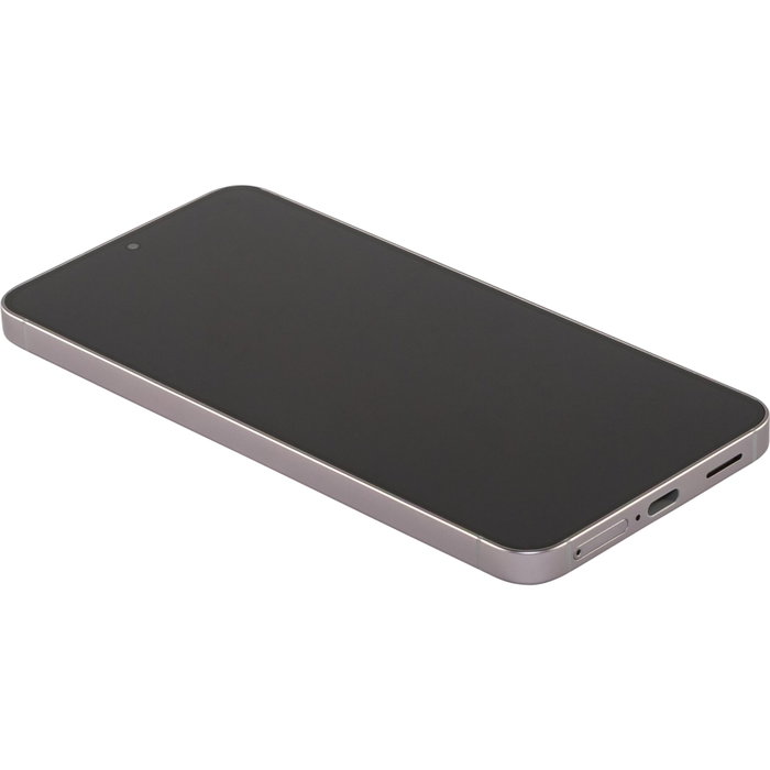 Samsung Galaxy S25 Enterprise Edition Silver Shadow 128GB