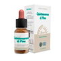 Forza Vitale Quinta Esencia Pino 10 ml