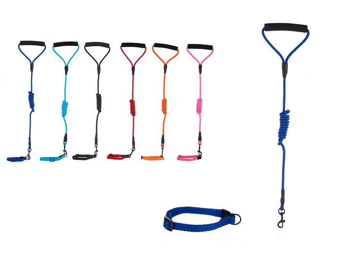 MASCOW Lot de 24 Colliers avec Laisse pour Animaux Grande Taille - Assortiment 6 Couleurs MASCOW Lot de 24 Colliers avec Laisse pour Animaux Grande Taille - Assortiment 6 Couleurs