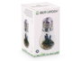 Giftdecor Ampoule Lavande Guirlande LED Mixte Cristal Transparent Vert 14x29x14cm - Piles Non Incluses (Set de 8)