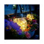 Lampe LED Solaire Jardin IP65 10h Autonomie