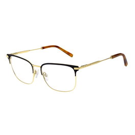 Monture de Lunettes Homme Ted Baker TB4343 55002