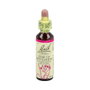 Bach Original Star of Bethlehem 20 ml