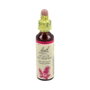 Bach Original Star of Bethlehem 20ml