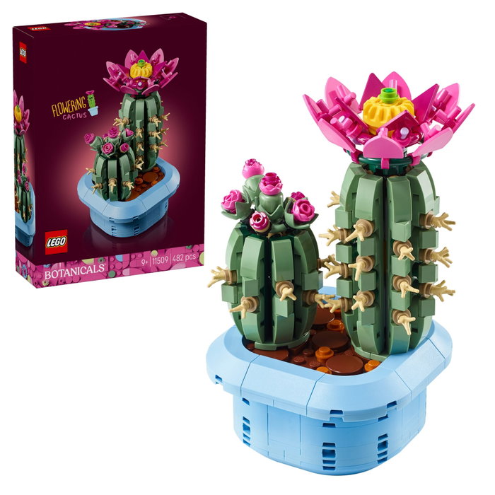LEGO Botanicals Cactus en fleur 11509