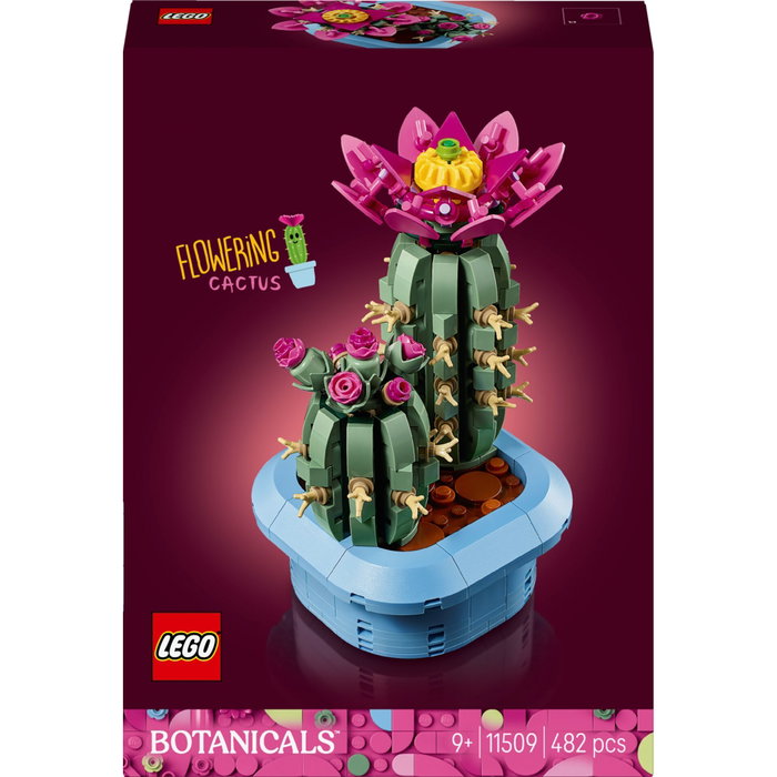 LEGO Botanicals Cactus en fleur 11509