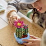 LEGO Botanicals Cactus en fleur 11509